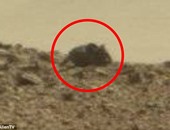 علماء يكتشفون وجود فأر على سطح المريخ طوله ثلاثة أقدام